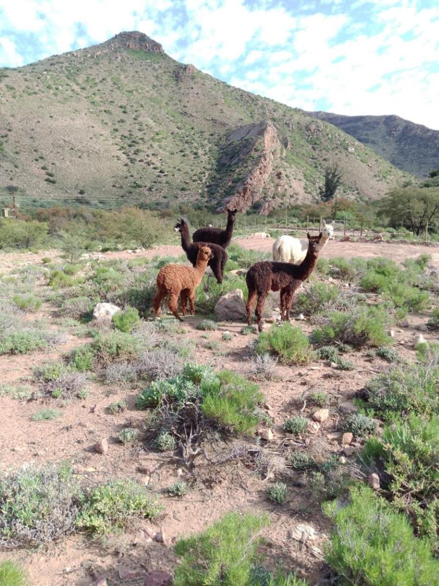 Bushman Valley Aparthotel Prince Albert Bagian luar foto