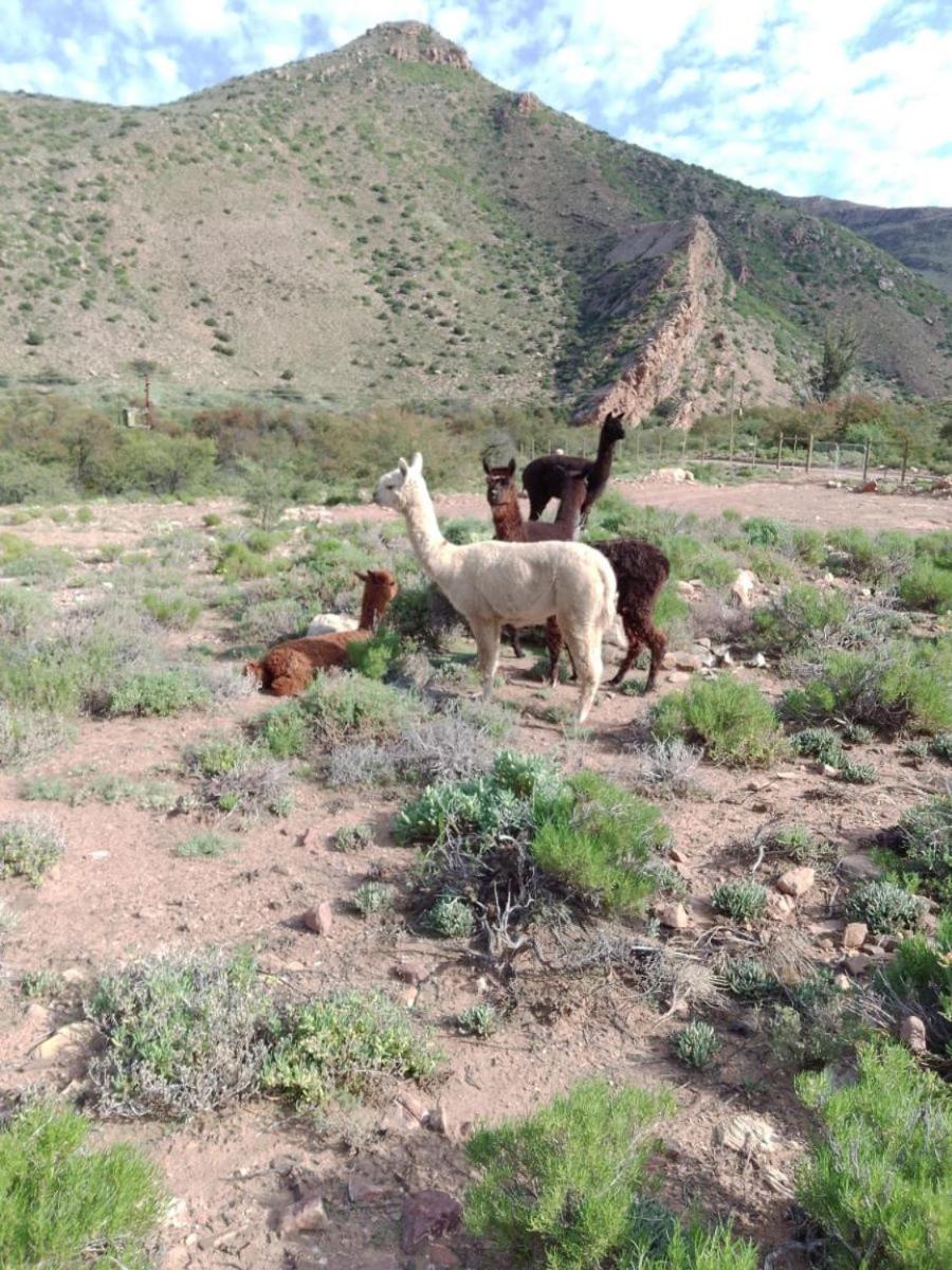 Bushman Valley Aparthotel Prince Albert Bagian luar foto